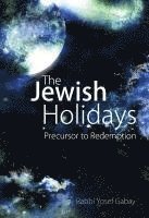 bokomslag Jewish Holidays