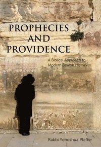 bokomslag Prophecies and Providence