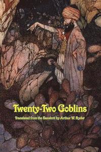 bokomslag Twenty-Two Goblins