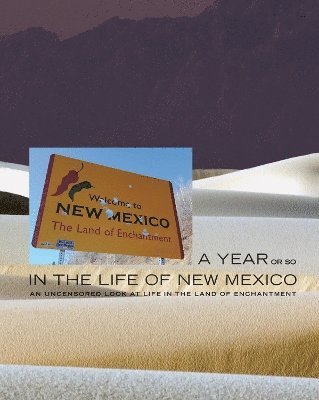 Rick Carver, Stacy Pearl - Year or So in the Life of New Mexico, Häftad