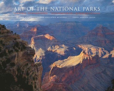 bokomslag Art of the National Parks