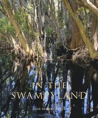 bokomslag In the Swampyland
