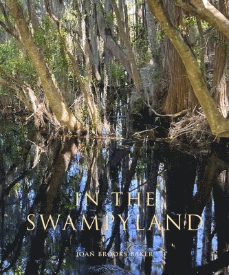 bokomslag In the Swampyland