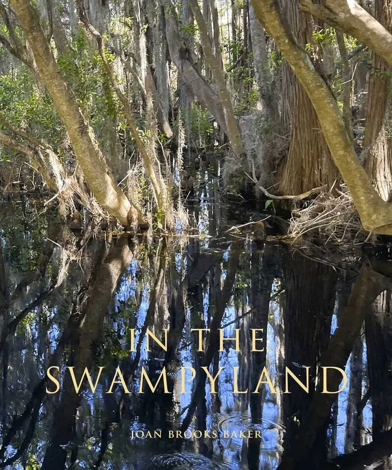 Joan Brooks Baker - In the Swampyland, Häftad. Tillgänglighet: Lägg i varukorg