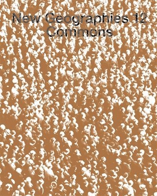 Mojdeh Mahdavi, Liang Wang - New Geographies, 12, Häftad