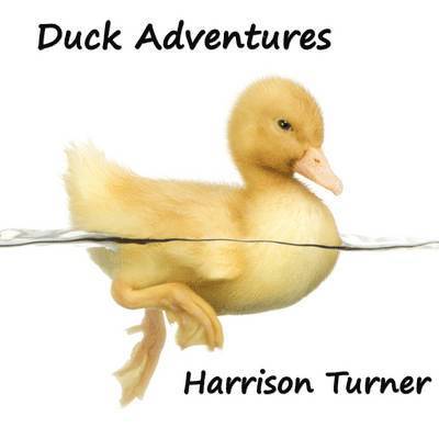Duck Adventures