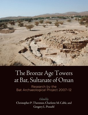 The Bronze Age Towers at Bat, Sultanate of Oman  Research by the Bat Archaeological Project, 2712 1