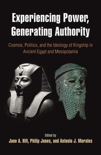 bokomslag Experiencing Power, Generating Authority - Cosmos, Politics, and the Ideology of Kingship in Ancient Egypt and Mesopotamia