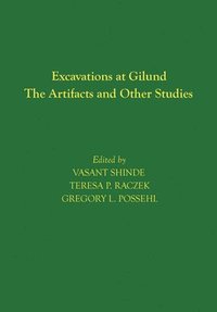 bokomslag Excavations at Gilund - The Artifacts and Other Studies