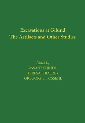 bokomslag Excavations at Gilund - The Artifacts and Other Studies