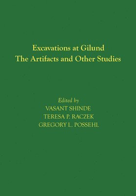 bokomslag Excavations at Gilund  The Artifacts and Other Studies