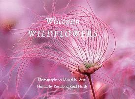 Wisconsin Wildflowers 1