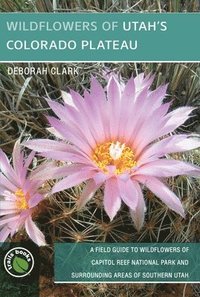 bokomslag Wildflowers of Utah's Colorado Plateau: A Field Guide to Wildflowers of Capitol Reef National Park and Surrounding Areas of Southern Utah