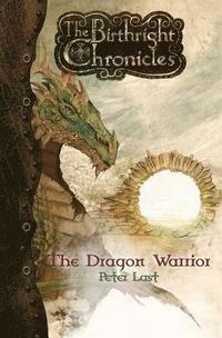 bokomslag The Dragon Warrior