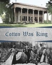 bokomslag Cotton Was King