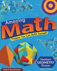 bokomslag Amazing Math Projects