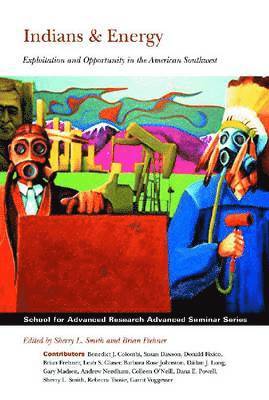 bokomslag Indians & Energy: Exploitation and Opportunity in the American Southwest