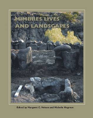 bokomslag Mimbres Lives and Landscapes