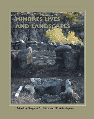 bokomslag Mimbres Lives and Landscapes