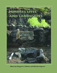 bokomslag Mimbres Lives and Landscapes