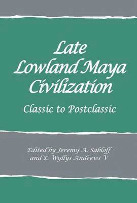bokomslag Late Lowland Maya Civilization