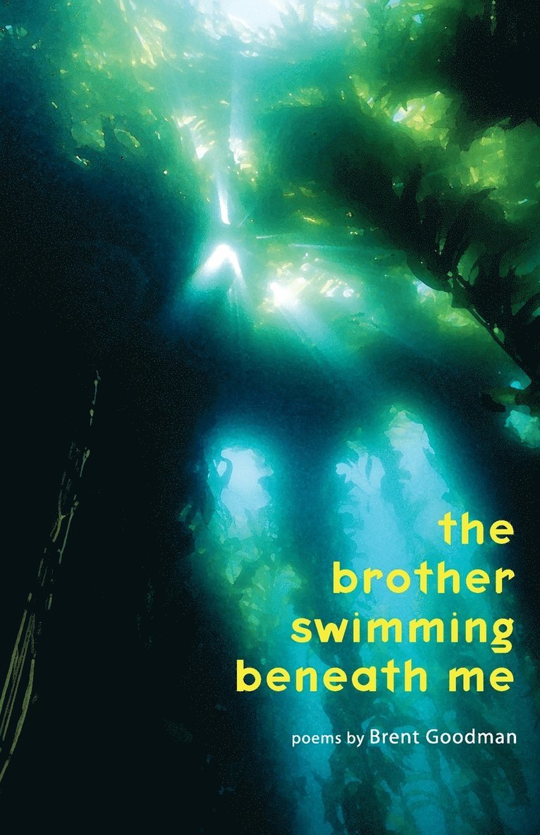 Brent Goodman - The Brother Swimming Beneath Me, Häftad