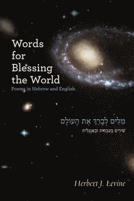 bokomslag Words for Blessing the World