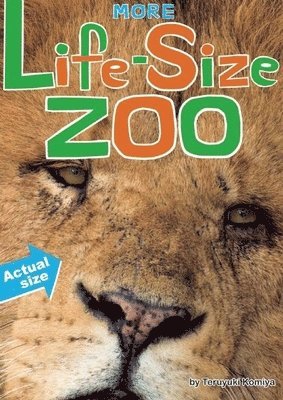 More Life-Size Zoo 1