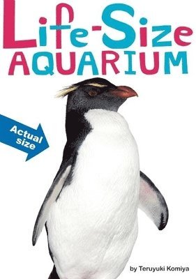 Life-Size Aquarium 1
