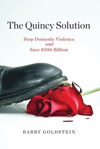 bokomslag The Quincy Solution