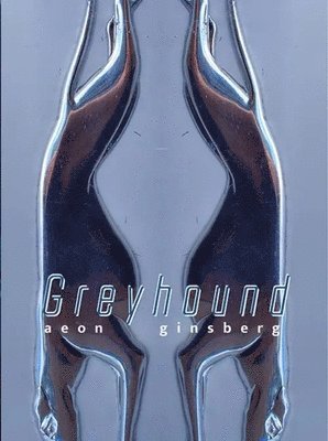 bokomslag Greyhound