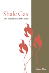 bokomslag Shale Gas: The Promise and the Peril