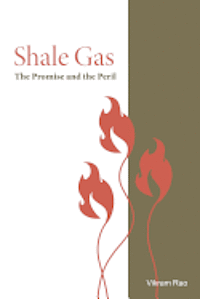 Vikram Rao - Shale Gas: The Promise and the Peril, Häftad