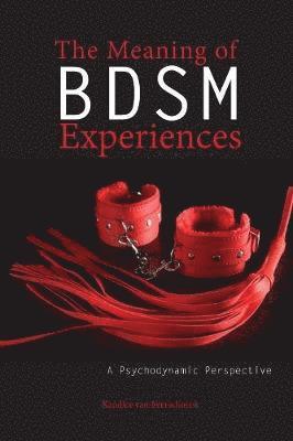 bokomslag Meaning of BDSM Experiences