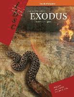 bokomslag Exodus: Set Free, Set Apart (Inductive Bible Study Curriculum Teacher Guide)