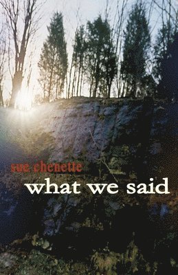 What We Said
