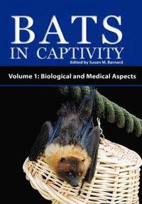 bokomslag Bats in Captivity - Volume 1