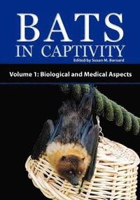 bokomslag Bats in Captivity: v. 1 Biological and Medical Aspects