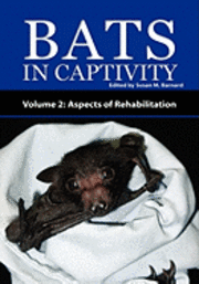 bokomslag Bats In Captivity - Volume 2