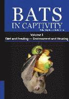 bokomslag Bats in Captivity. Volume 3