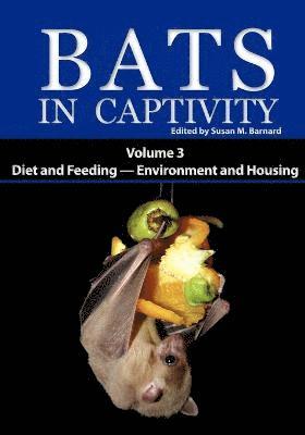 Bats in Captivity 1