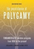 bokomslag The Persistence of Polygamy, Vol. 3