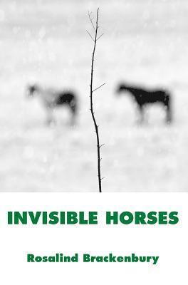 Rosalind Brackenbury - Invisible Horses, Häftad