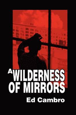 A Wilderness of Mirrors 1