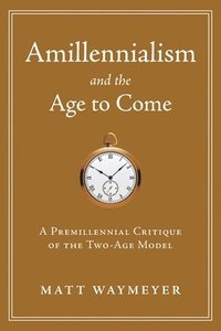 bokomslag Amillennialism and the Age to Come