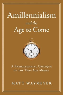 bokomslag Amillennialism and the Age to Come