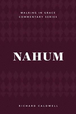 bokomslag Nahum: Meet the True God