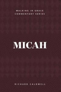 bokomslag Micah: Who Is Like God?