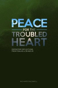 bokomslag Peace for the Troubled Heart: Expository Reflections on Psalms 4, 39, 23