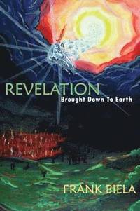 bokomslag Revelation Brought Down to Earth